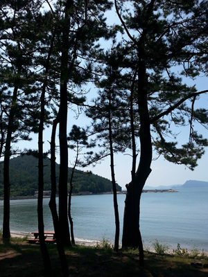 20130919_112318.jpg
