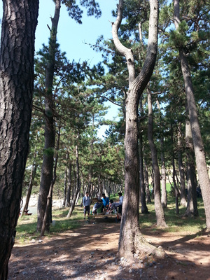 20130919_112450.jpg