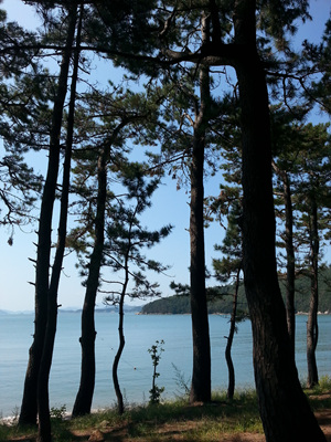 20130919_112326.jpg
