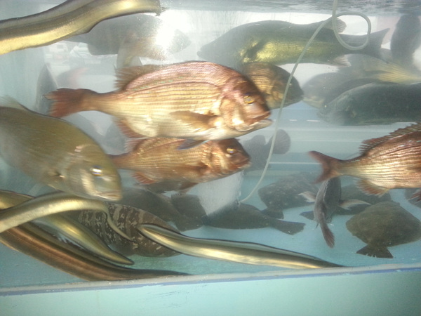 20130918_062158.jpg