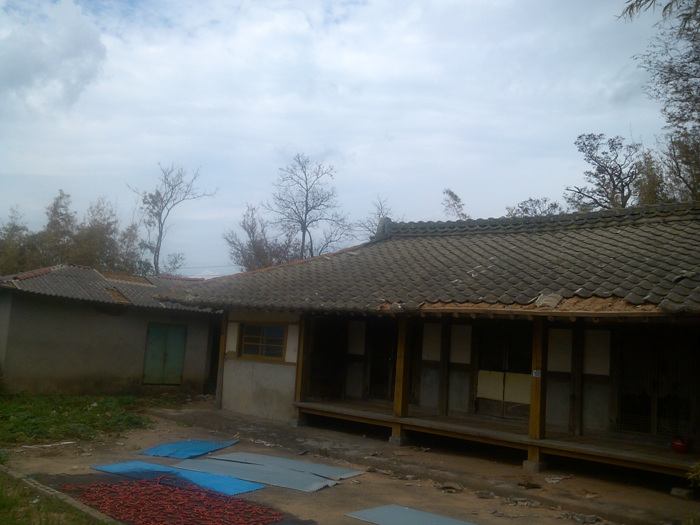 IMG_20120907_124352.jpg