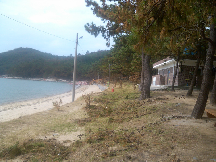 IMG_20120907_132948.jpg
