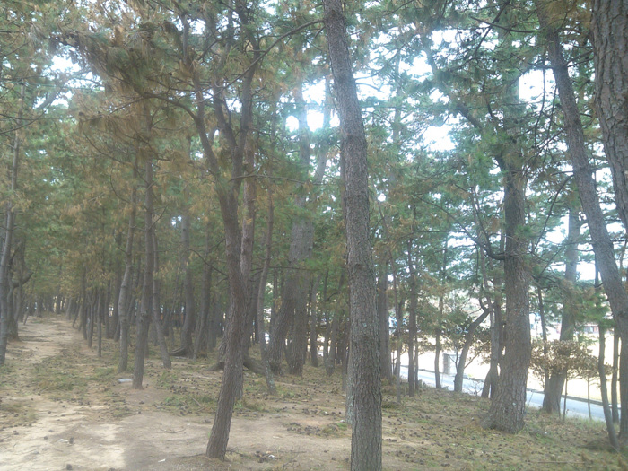 IMG_20120907_133237.jpg