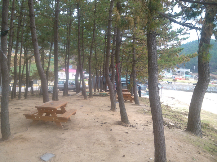 IMG_20120907_133205.jpg