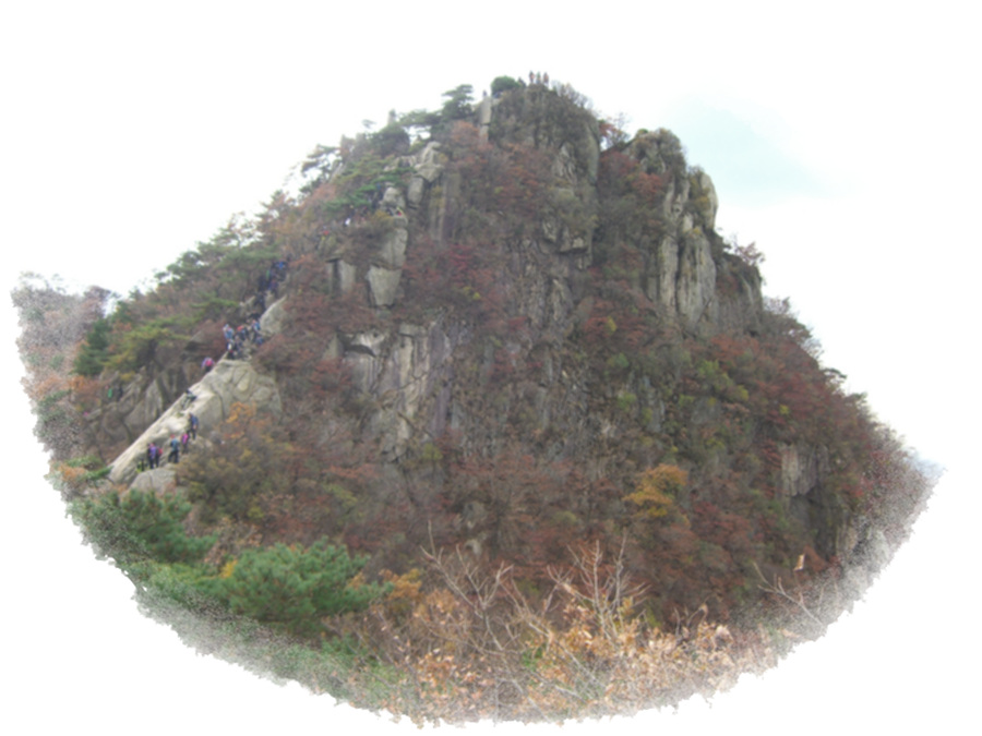 CIMG0619.jpg