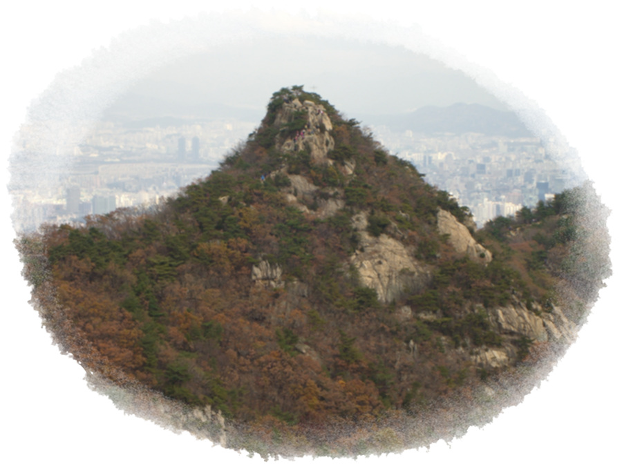 CIMG0623.jpg
