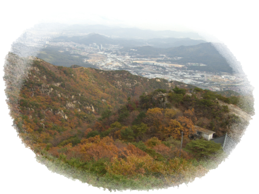 CIMG0627.jpg