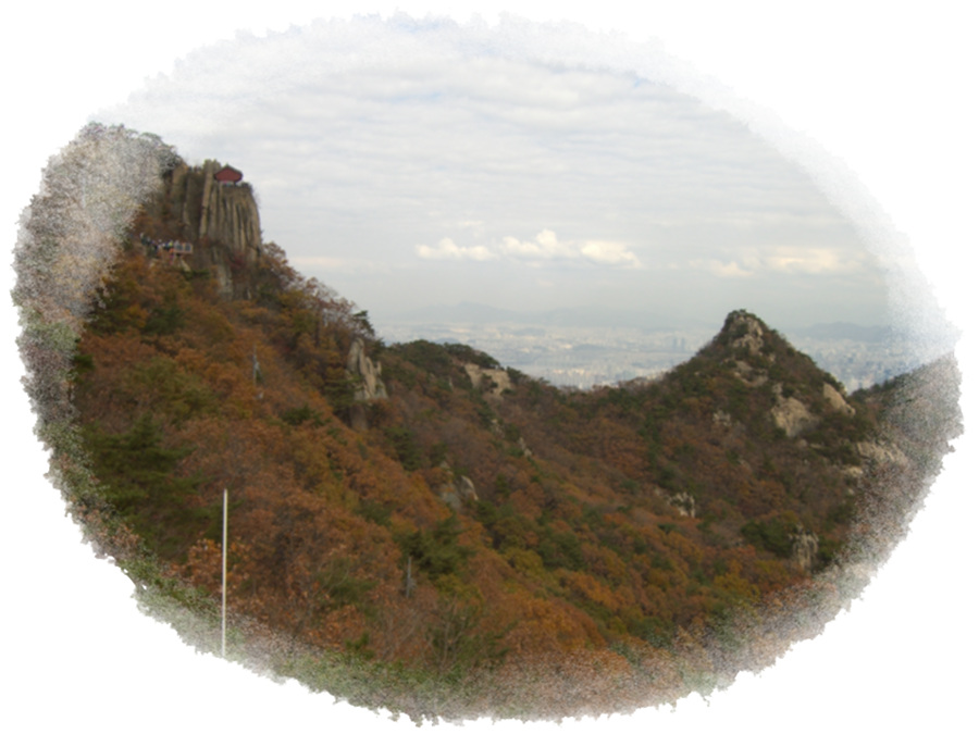 CIMG0628.jpg