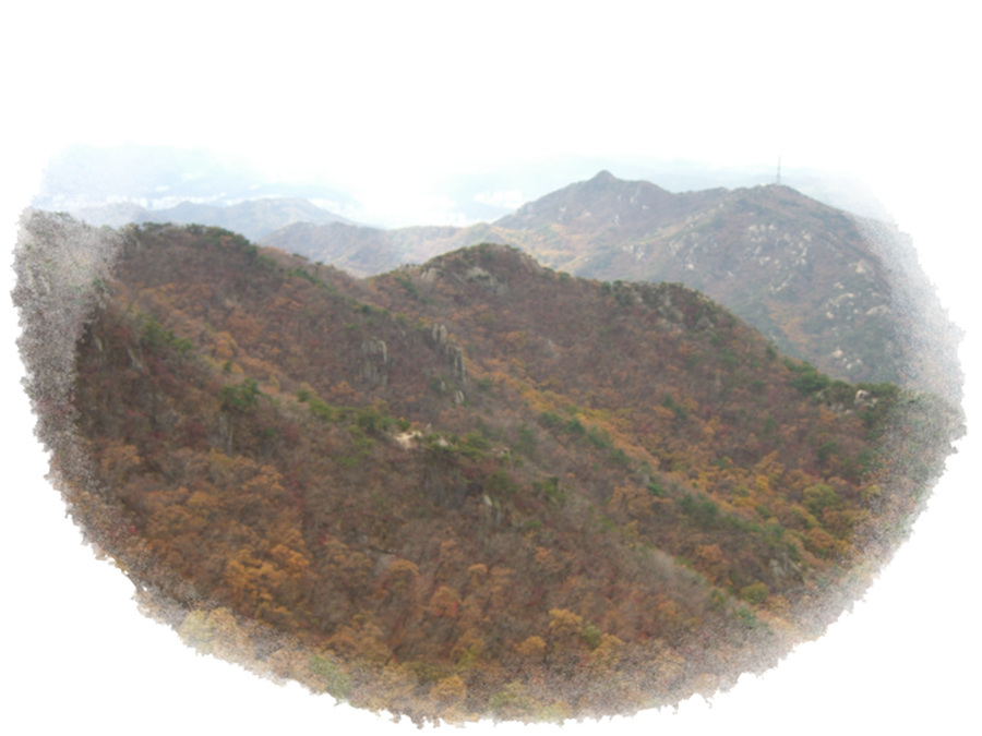 CIMG0630.jpg