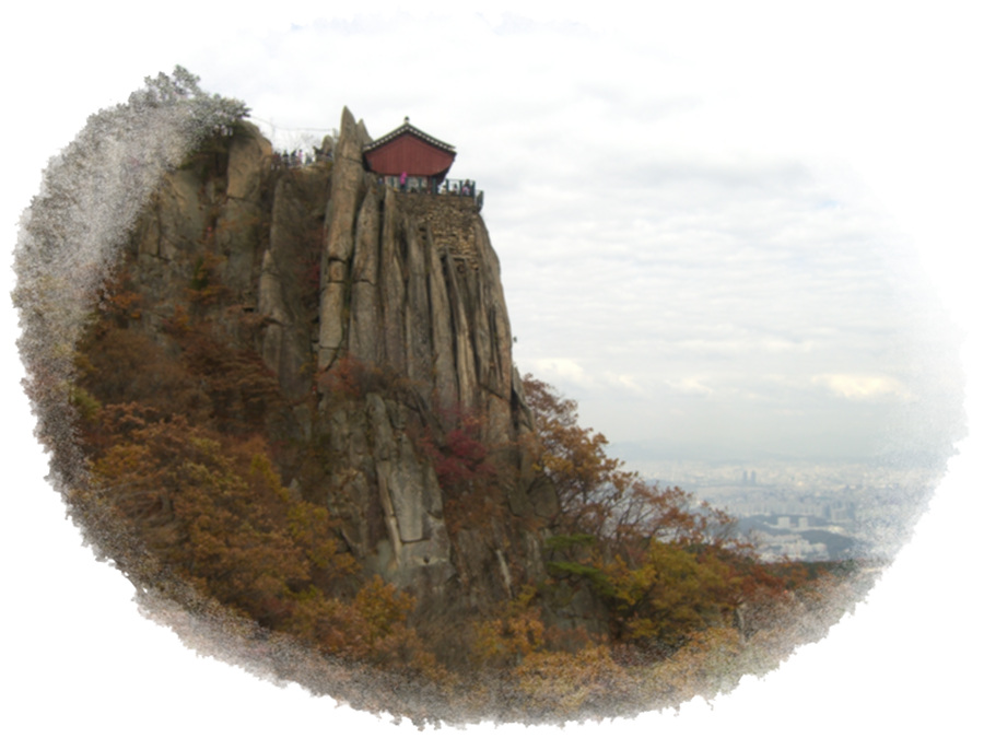 CIMG0636.jpg