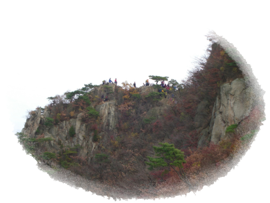 CIMG0649.jpg