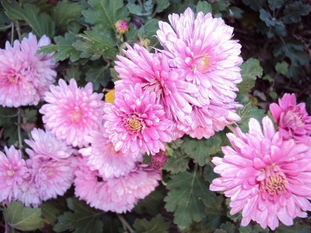 금산시재 054.jpg
