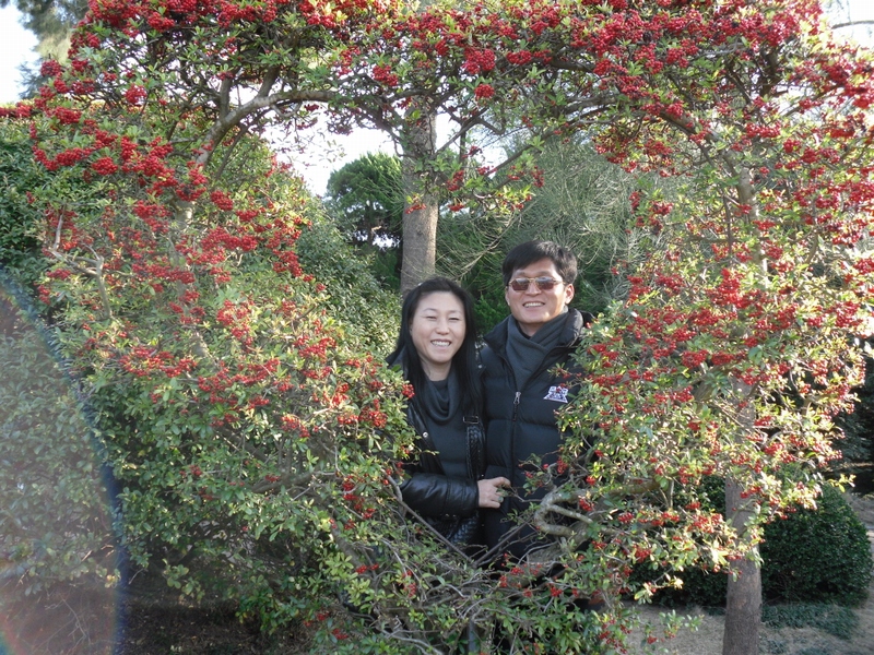SDC10303.jpg